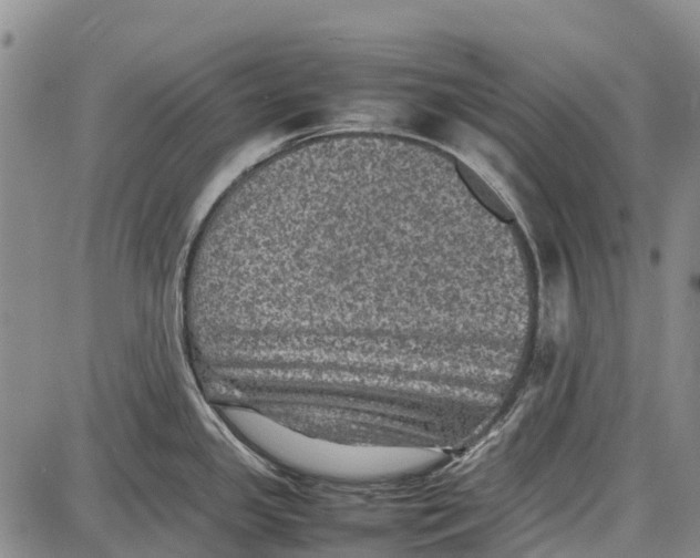 X0000087051341200705091126