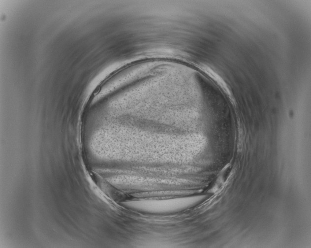 X0000087051342200705091126