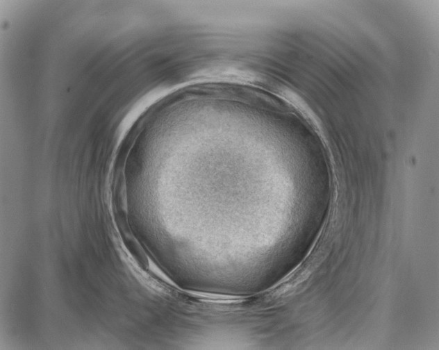 X0000087051344200705091126