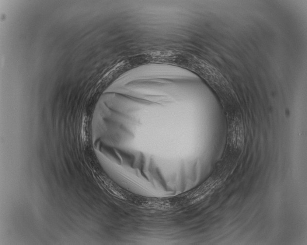 X0000087051346200705091125