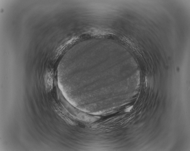 X0000087051348200705091125