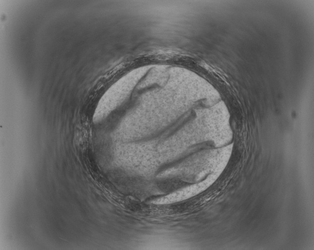 X0000087051349200705091125