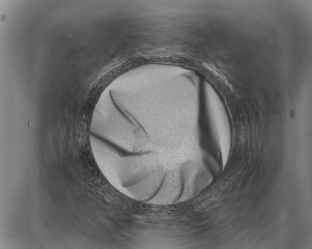 X0000087051350200705091125