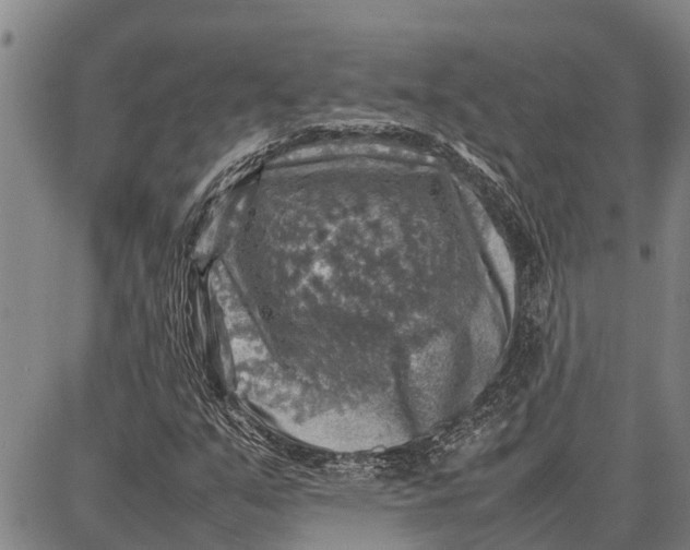 X0000087051351200705091125