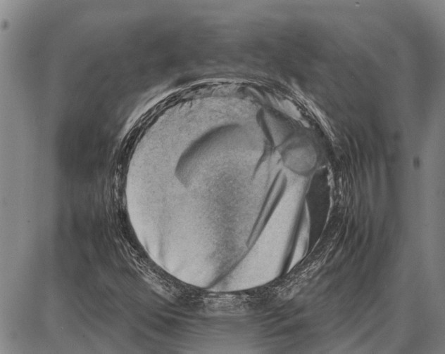 X0000087051352200705091125