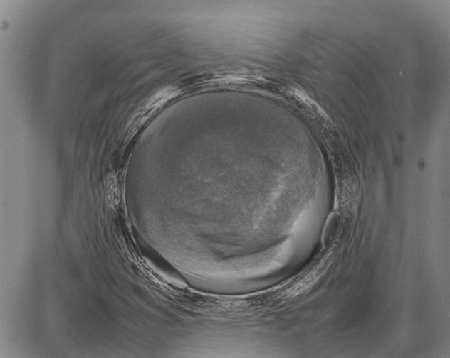 X0000087051353200705091125