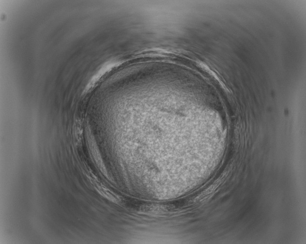 X0000087051355200705091125