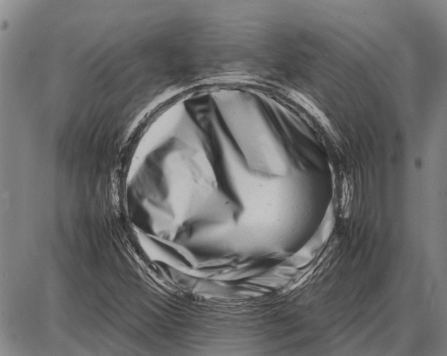 X0000087051356200705091125