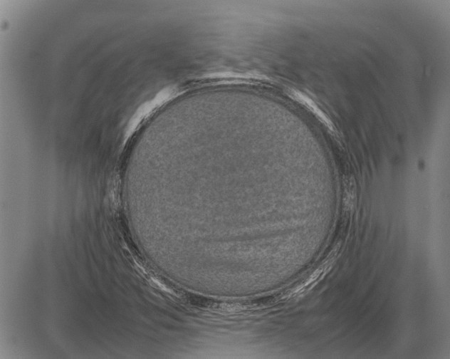 X0000087051357200705091125