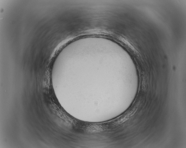 X0000087051358200705091125