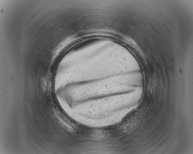 X0000087051360200705091125