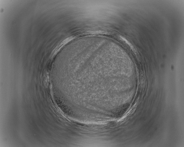 X0000087051361200705091125