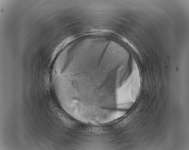 X0000087051362200705091125