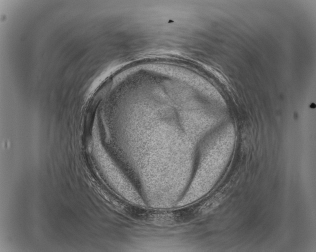 X0000087051363200705091125