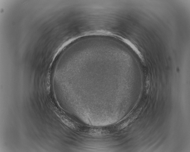 X0000087051364200705091125