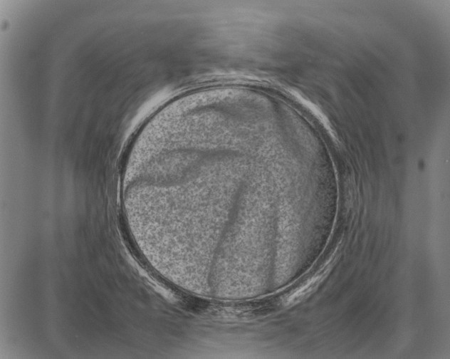 X0000087051365200705091125