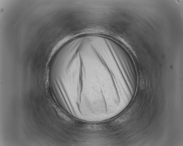 X0000087051366200705091125