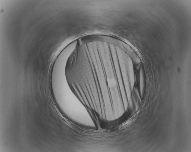 X0000087051367200705091125