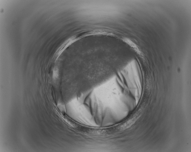 X0000087051369200705091125