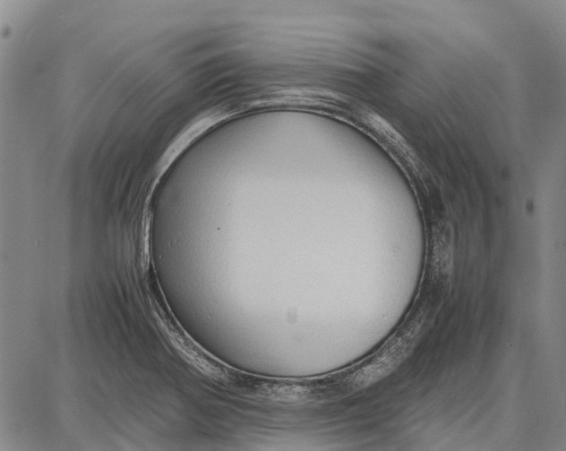 X0000087051370200705091125