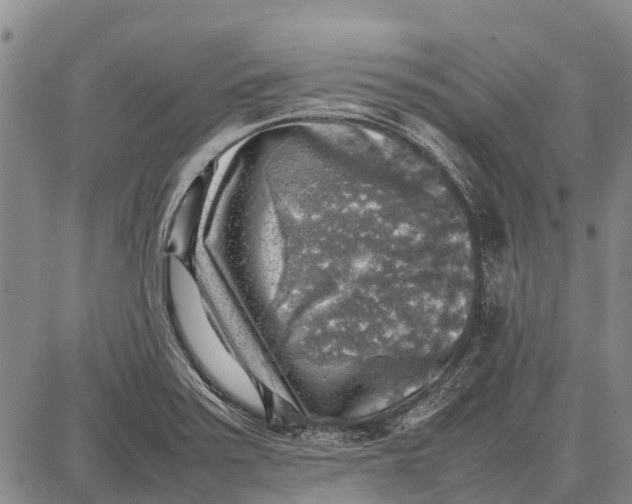 X0000087051371200705091125