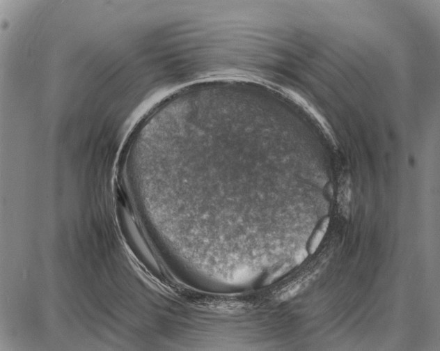 X0000087051372200705091125