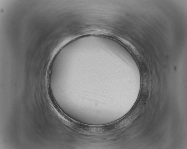 X0000087051375200705091125