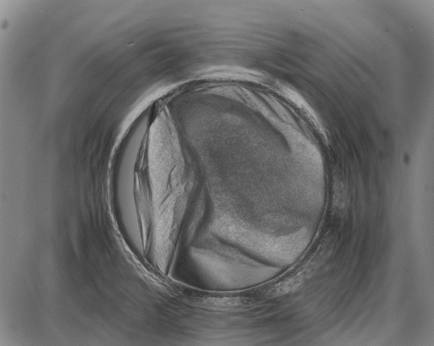 X0000087051376200705091125