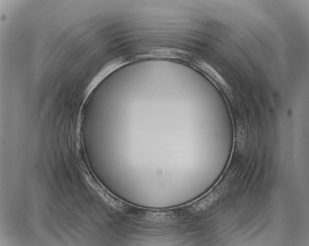 X0000087051378200705091125