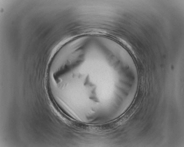 X0000087051379200705091125