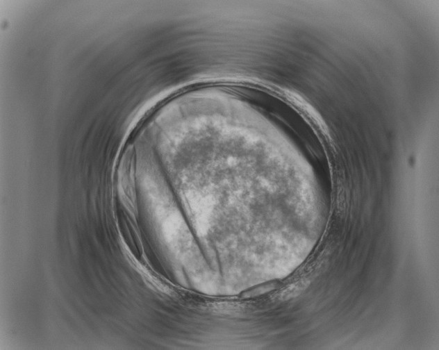 X0000087051380200705091125