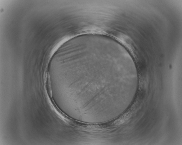 X0000087051383200705091125