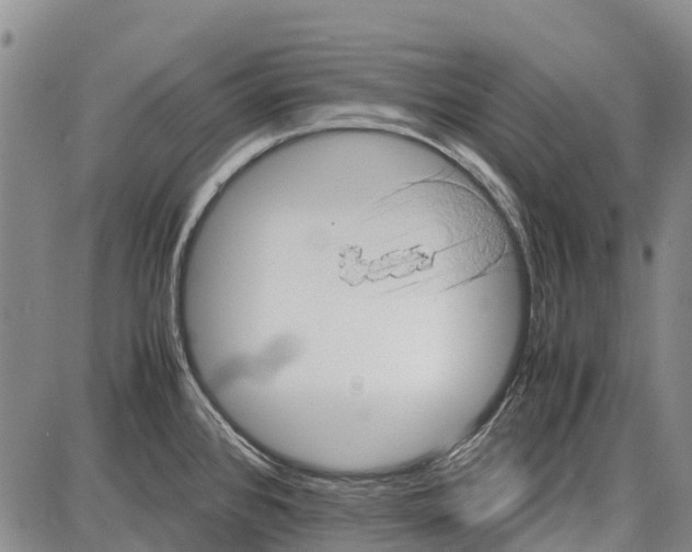 X0000087051384200705091125