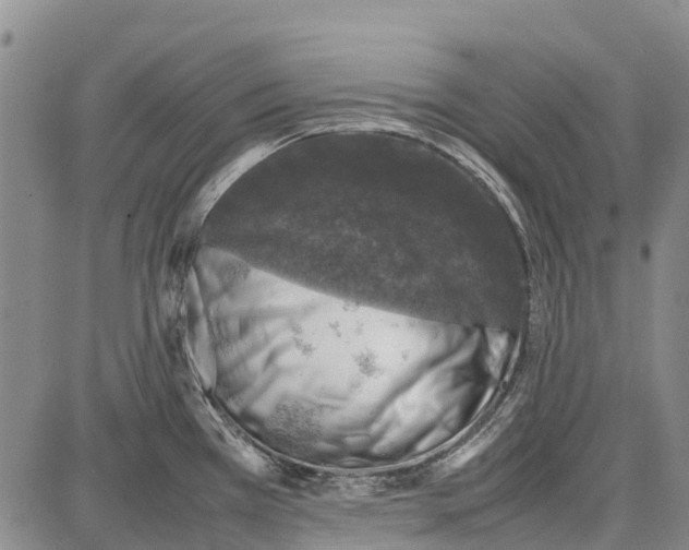 X0000087051385200705091125