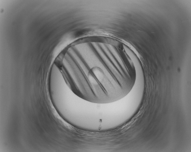 X0000087051387200705091125