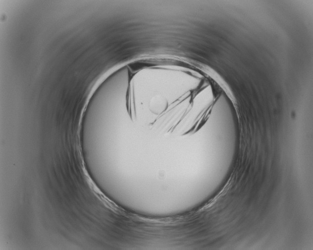 X0000087051388200705091125