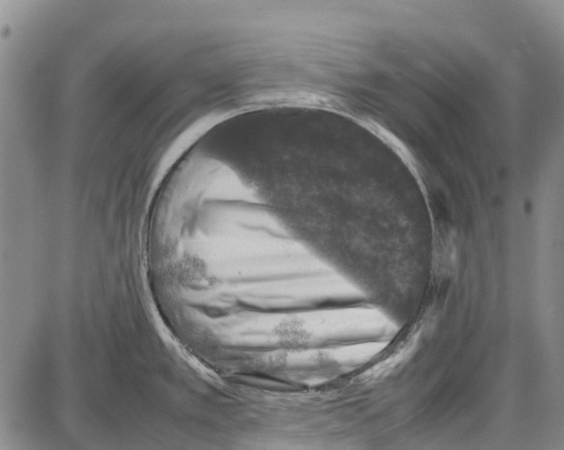 X0000087051389200705091125