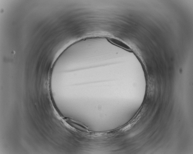 X0000087051390200705091125