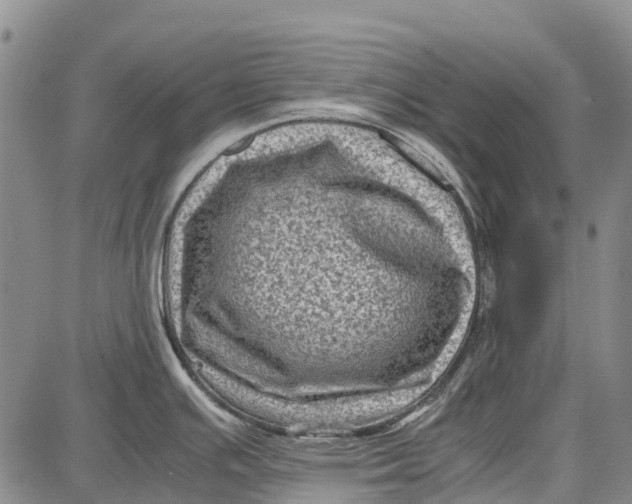 X0000087051391200705091125