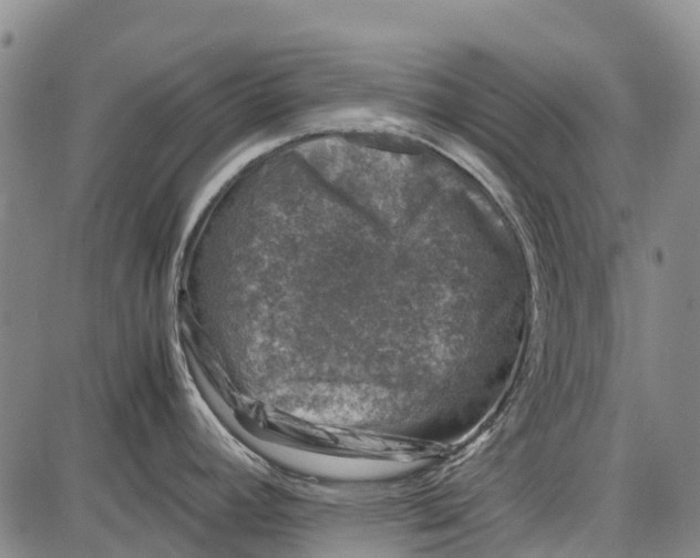 X0000087051392200705091125