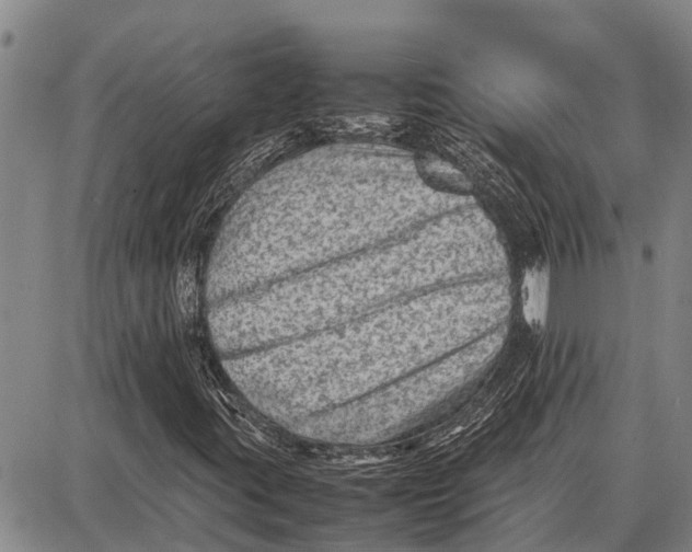 X0000087051395200705091124