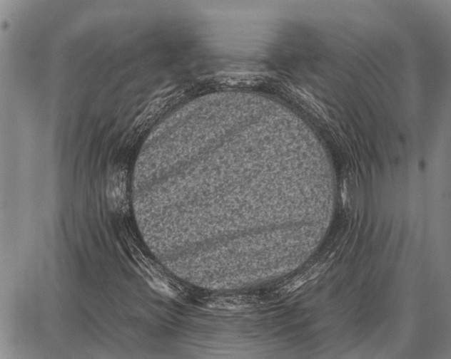 X0000087051396200705091124