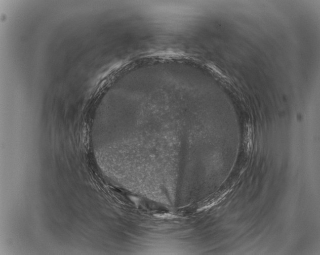 X0000087051398200705091124