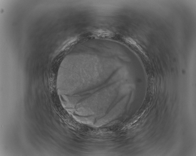 X0000087051399200705091124