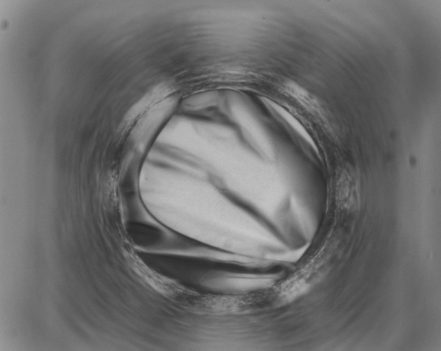 X0000087051402200705091124