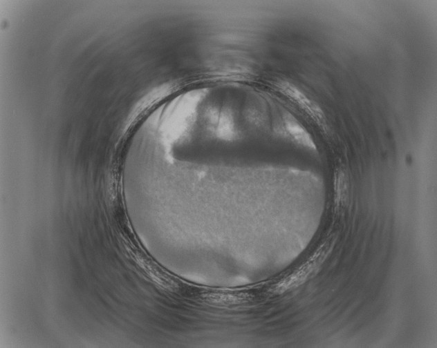 X0000087051405200705091124