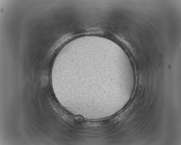 X0000087051407200705091124