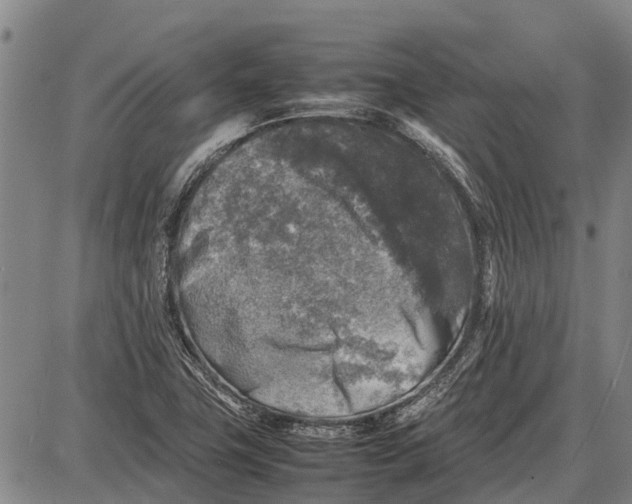 X0000087051411200705091124