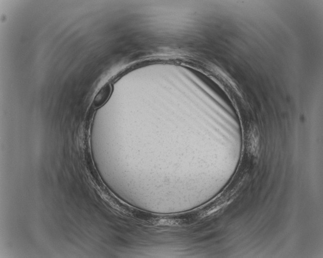 X0000087051412200705091124