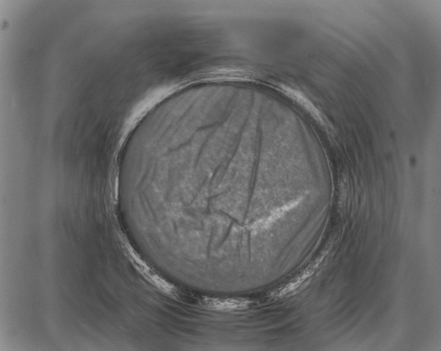 X0000087051413200705091124